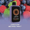 一次性電子煙｜AONE CasinoX 賭場系列 莓果薄荷