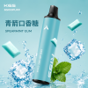 一次性電子煙｜KIS5 磁吸雙味 6500口 青箭口香糖口味