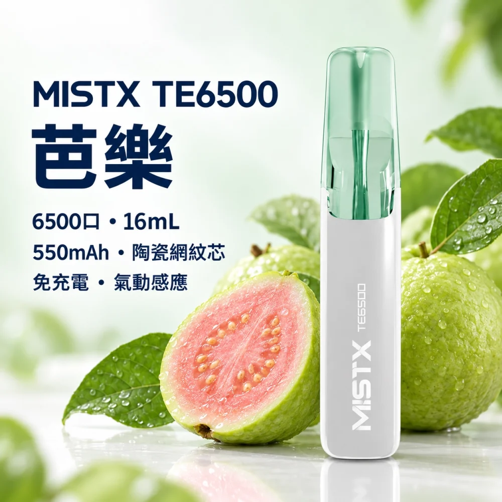 一次性電子煙｜MISTX 鴨嘴獸 TE6500｜6500口 芭樂