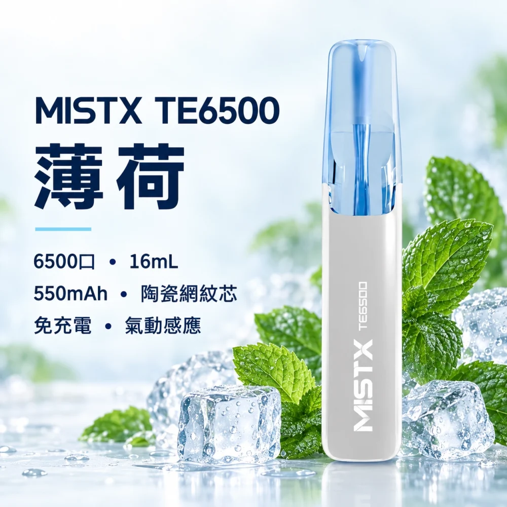 一次性電子煙｜MISTX 鴨嘴獸 TE6500｜6500口 薄荷