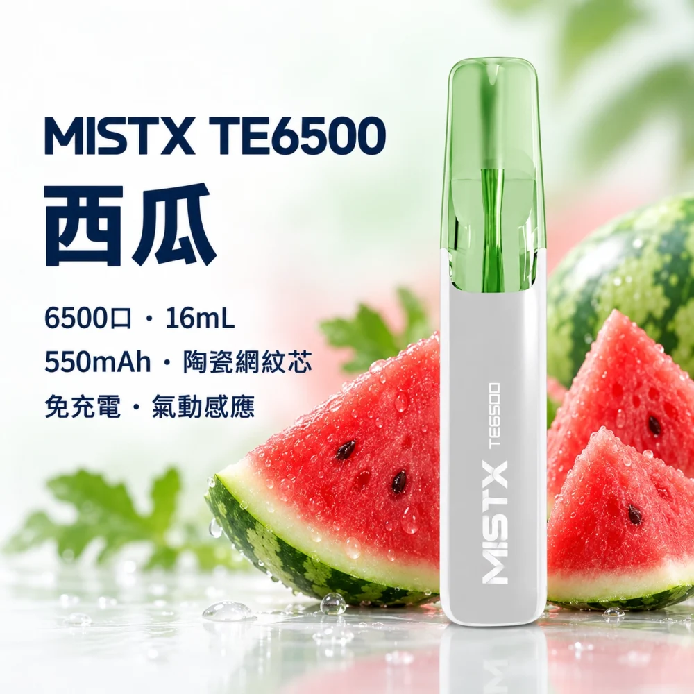 一次性電子煙｜MISTX 鴨嘴獸 TE6500｜6500口 西瓜