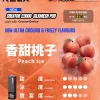 一次性電子煙｜RELX 悅刻 Creator 22000 積木套裝 桃子口味