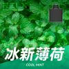 一次性電子煙｜RELX 悅刻 X BOX 清新薄荷口味煙彈