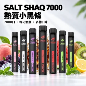 鯊克 SALT SHAQ 小黑條 拋棄式電子煙 7000口 Type-C充電