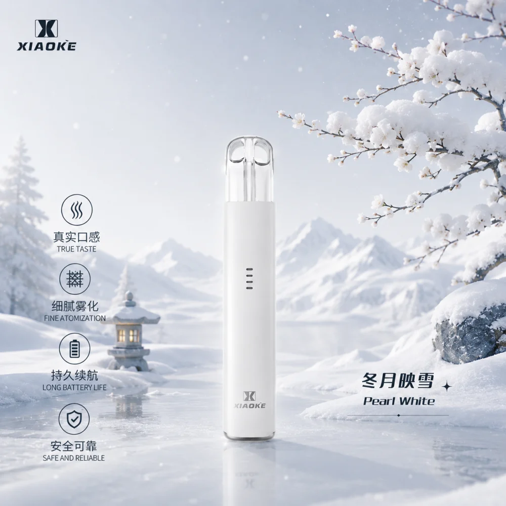 換彈式主機｜XIAOKE 五代主機 冬月映雪