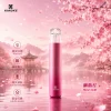 換彈式主機｜XIAOKE 五代主機 胭脂紅